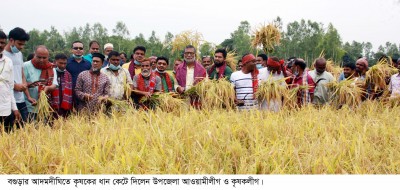 আদমদীঘিতে দেড় বিঘা জমির ধান কাটলেন আওয়ামীলীগ- কৃষকলীগ আদমদীঘিতে দেড় বিঘা জমির ধান কাটলেন আওয়ামীলীগ- কৃষকলীগ